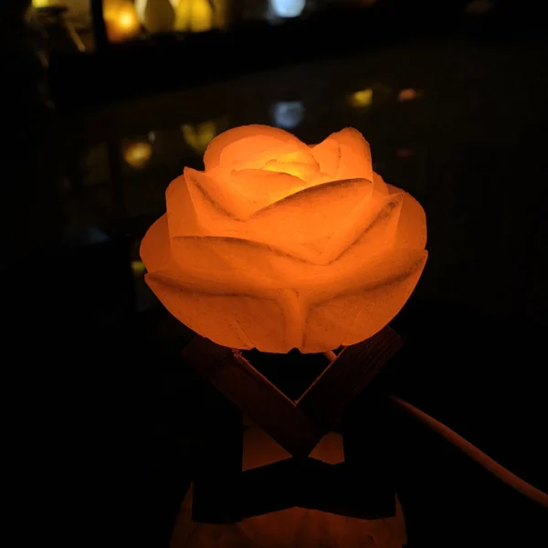 آباژور سنگ نمک رز جاودان