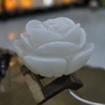 آباژور سنگ نمک رز جاودان | نماد عشق و آرامش - تصویر 3