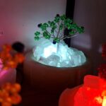 آباژور نمک درختچه - تصویر 5