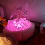 آباژور نمک درختچه - تصویر 4