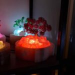 آباژور نمک درختچه - تصویر 3