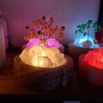 آباژور نمک درختچه - تصویر 2