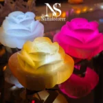 آباژور سنگ نمک طرح رز