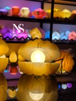 آباژور سنگ نمک طرح صدف - تصویر 7